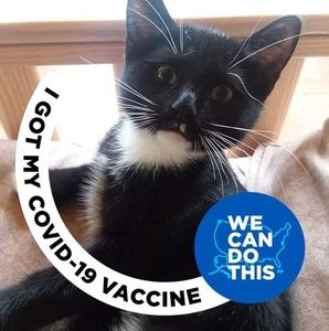 Meet your Posher, Patty